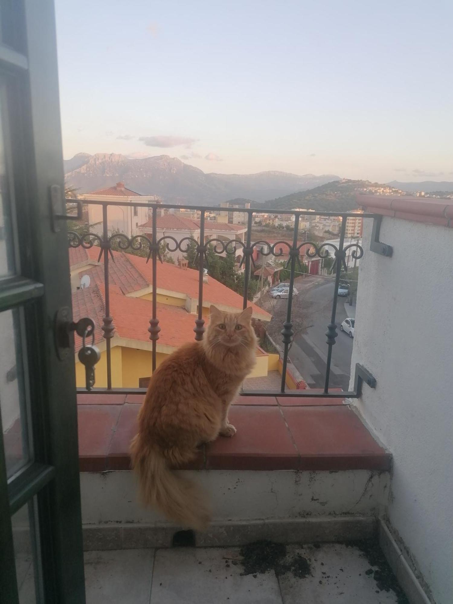 Coros Hotel Нуоро Екстериор снимка